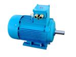 Explosion Proof Three-Phase Induction Motor 