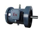 Explosion Proof Three-phase Induction Motor (for Lifting), YBZa-H Series