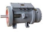 Single/Double Speed Three-phase Induction Motor (for Lifting) 
