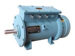 Three-phase Induction Motor (for Lifting) 