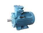 Flame-Proof Three-Phase Induction Motor, YB3 Series